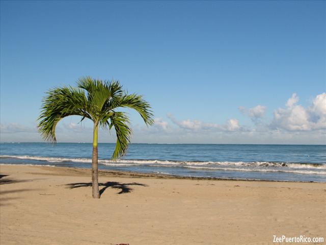 Balneario de Carolina - ZeePuertoRico.com